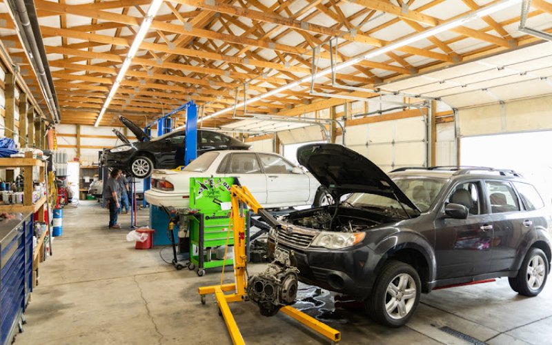 Buck & Doe Auto