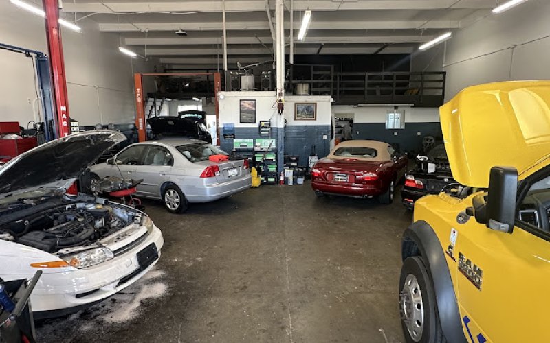Car4nia Shop